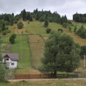 60. Pastviny v Poianě Micului